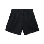 ASSC Collegiate Vintage Shorts Black Back